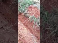 0.6톤 0.8톤 미니 크롤러 발굴기 작은 마이크로 발굴기